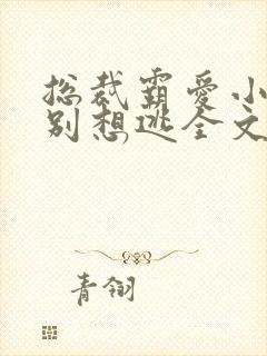 总裁霸爱小娇妻别想逃全文阅读免费