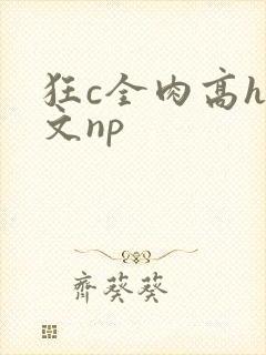 狂c全肉高h辣文np