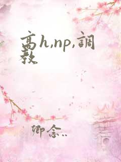 高h,np,调教