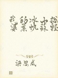 我的冰山总裁老婆叶帆苏轻雪最新