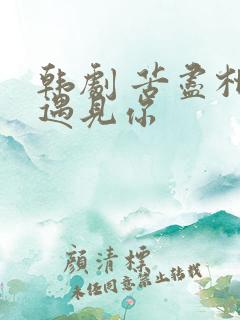 韩剧 苦尽柑来遇见你