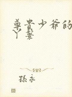 尊贵少爷的大牌丫鬟