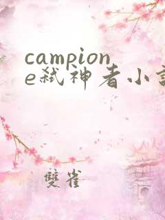 campione弑神者小说