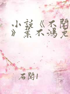 小说《不闻故人》叶不鸿免费阅读