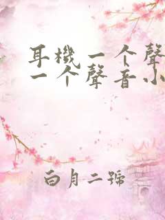 耳机一个声音大一个声音小是怎么回事