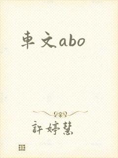 车文abo