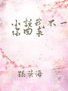 小说我不一定要你回来