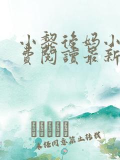 小黎后妈小说免费阅读最新章节更新