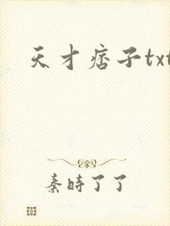 天才痞子txt