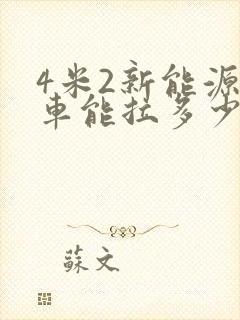 4米2新能源货车能拉多少吨货