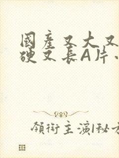 国产又大又粗又硬又长A片小说