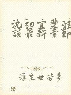 沈初宜裴淮聿小说最新章节免费阅读