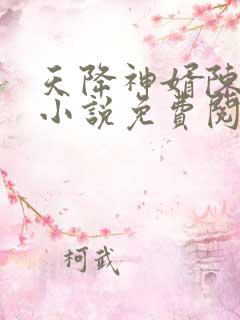 天降神婿陈黄皮小说免费阅读