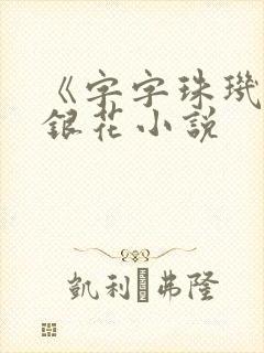 《字字珠玑》金银花小说