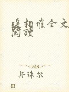 暖相催全文免费阅读