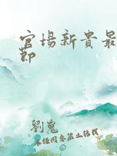 官场新贵最新章节