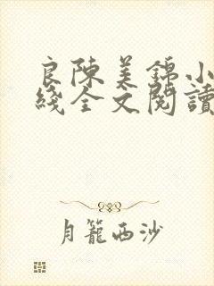 良陈美锦小说在线全文阅读