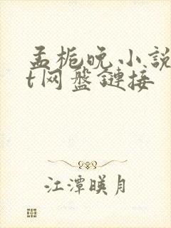 孟栀晚小说txt网盘链接