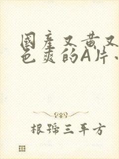 国产又黄又大又色爽的A片小说