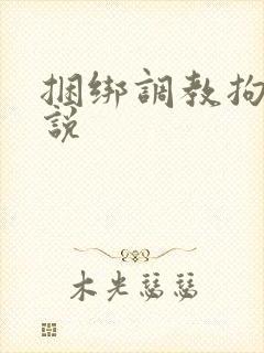 捆绑调教拘束小说