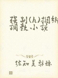 强制(h)捆绑调教小说