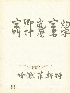 宫卿岚宫灼小说叫什么名字