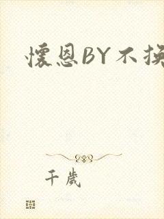 怀恩BY不换