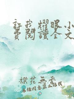 许我耀眼小说免费阅读全文最新章节