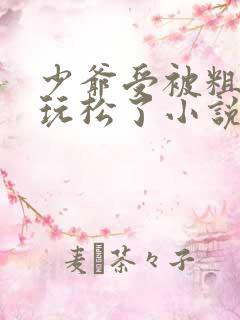 少爷受被粗汉H玩松了小说