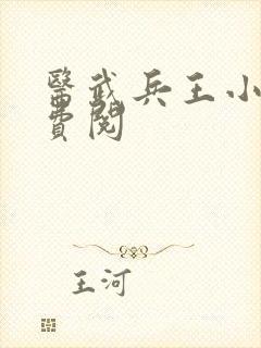 医武兵王小说免费阅