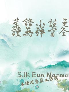 叶锋小说免费阅读无弹窗全文