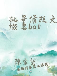 批量修改文件后缀名bat