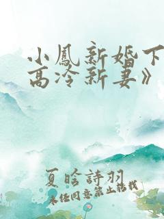 小凤新婚下集《高冷新妻》视频播放