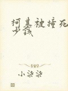 柯基被撞死赔多少钱