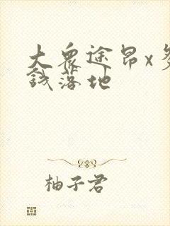 大众途昂x多少钱落地