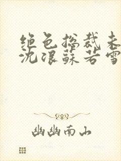 绝色总裁未婚妻沈浪苏若雪