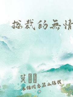 总裁的无情游戏