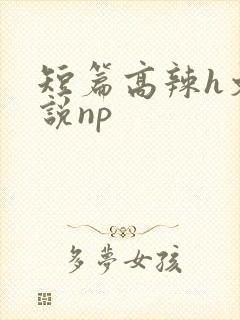 短篇高辣h文小说np