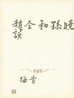 赵全和孙晓云小说