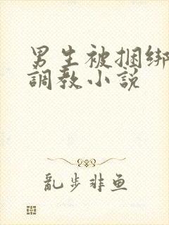 男生被捆绑束缚调教小说