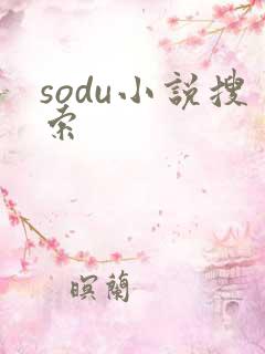sodu小说搜索