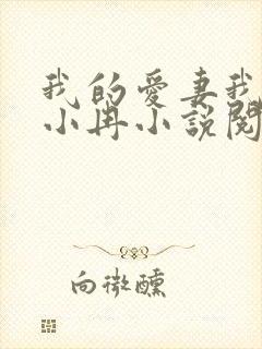 我的爱妻我的父小冉小说阅读免费