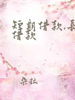 短期借款,长期借款