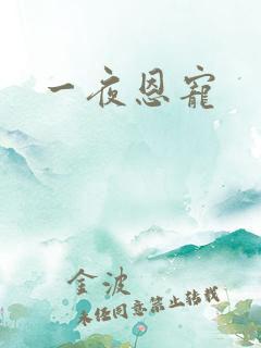 一夜恩宠