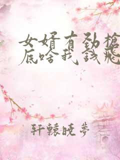 女婿有劲枪枪到底啥我钱飞了