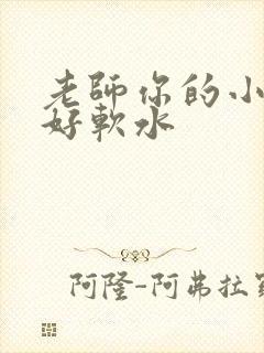 老师你的小兔子好软水