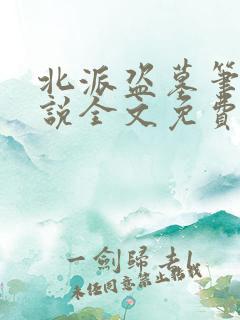 北派盗墓笔记小说全文免费阅读完整版