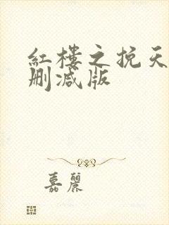 红楼之挽天倾无删减版