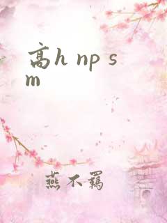 高h np sm