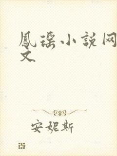 凤瑶小说网高辣文